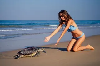 ЛОКАЦИЯ TURTLE POINT