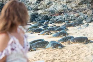 ПЛЯЖ ХИККАДУВЫ