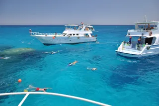 ИССЛЕДОВАНИЕ МОРСКОЙ ЖИЗНИ