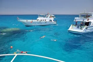 ИССЛЕДОВАНИЕ МОРСКОЙ ЖИЗНИ