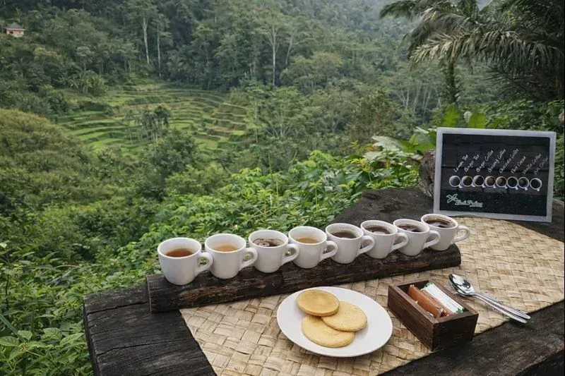Индивидуальная экскурсия по Убуду Открывая сердце Бали