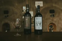 🍷 Вино