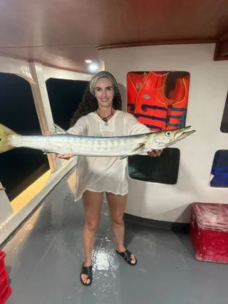 ТРОФЕЙНАЯ БАРРАКУДА