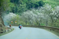 🛵 Свобода передвижения