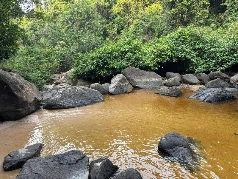 Национальный парк Пном Кулен: экскурсия на 1 день