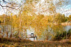 🍂 Осенний сезон