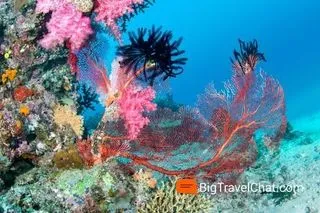 ОСТРОВ GAM GHI