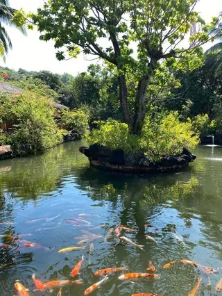 ЖЕМЧУЖНАЯ ФЕРМА