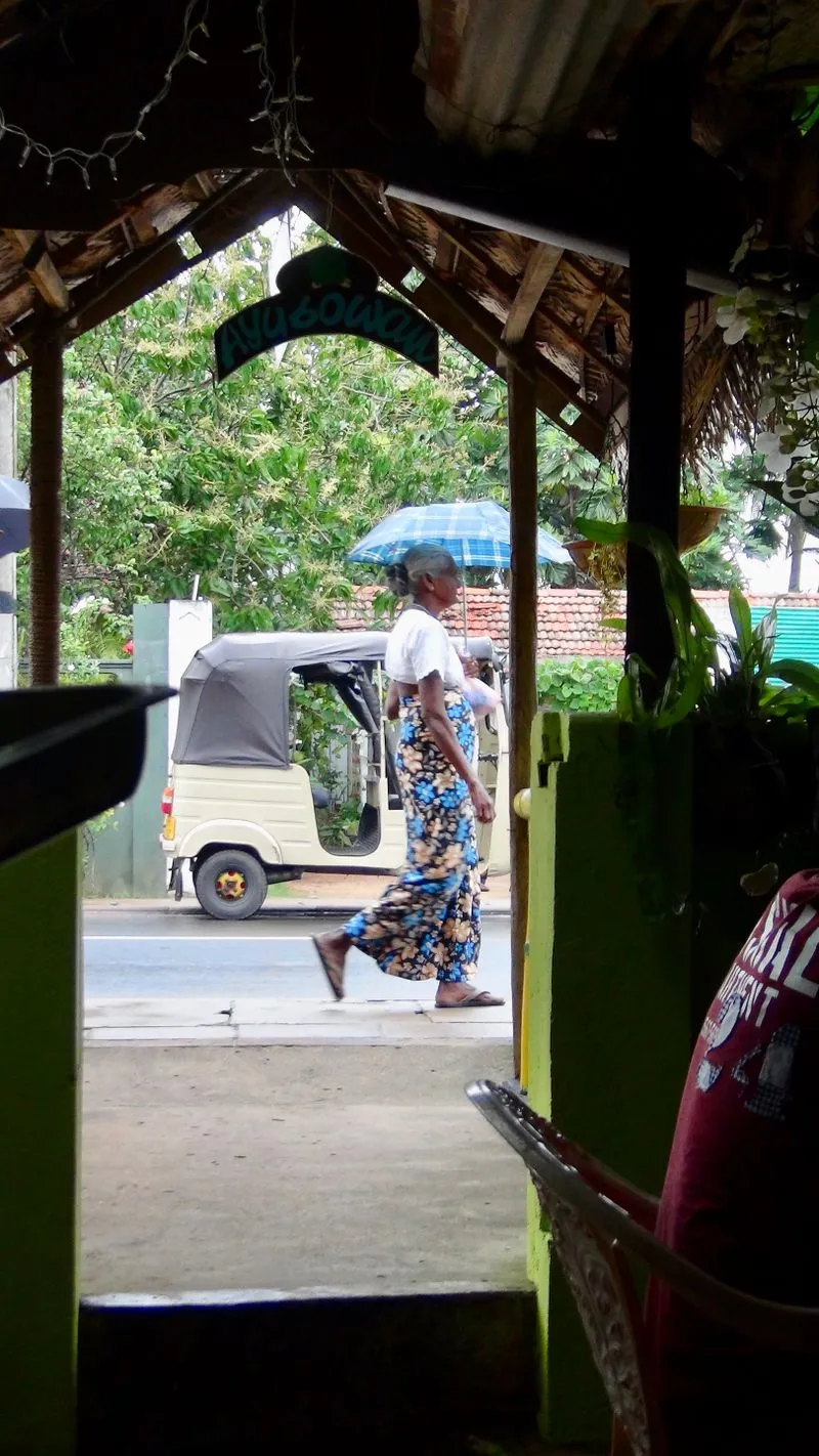 Лучше всего гулять по району Cinnamon Gardens