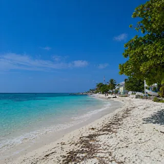 LOCAL BEACH