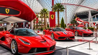 АВТОМОБИЛЬ FERRARI В ПАРКЕ