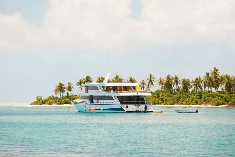 Паром (общественный)