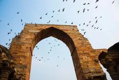 Индивидуальная обзорная экскурсия по Дели