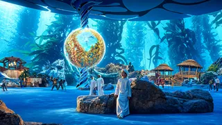 ПОДВОДНЫЙ МИР SEAWORLD ABU DHABI