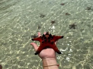 ПЛЯЖ МОРСКИХ ЗВЕЗД