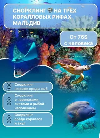 снорклинг на Мальдивах