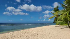 🏖️ Пляж Long Beach