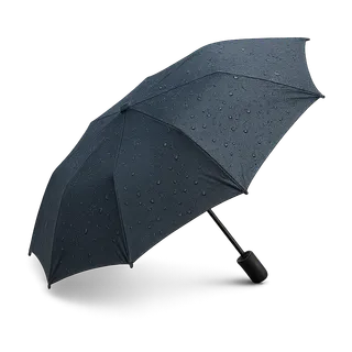 Июль — Сентябрь
