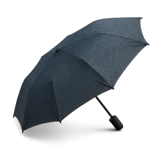 Октябрь — Декабрь