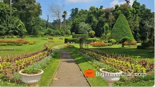 КОРОЛЕВСКИЙ БОТАНИЧЕСКИЙ САД