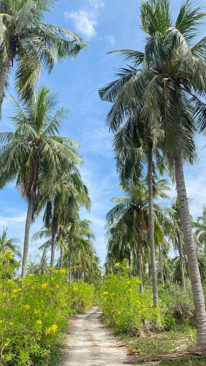 Экскурсия на Северные острова Нячанга