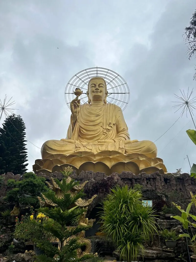 Экскурсия из Дананга в Далат с перелётом: природа, кофе и прохлада гор