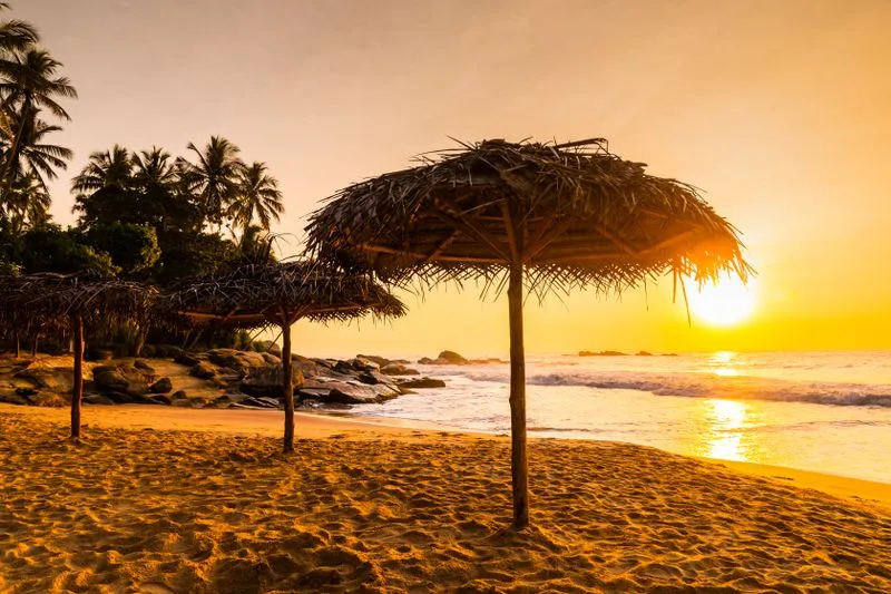 Высокая влажность и жара