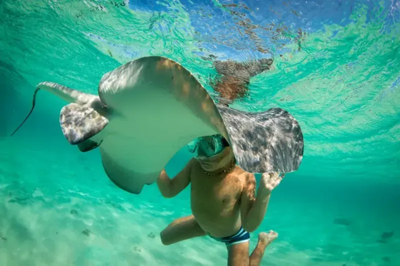 Индивидуальная экскурсия Снорклинг и Манта-Пойнт с Бали на Нуса-Пенида