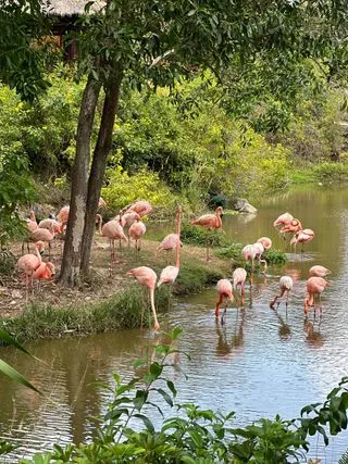 VINPEARL SAFARI PHU QUOC