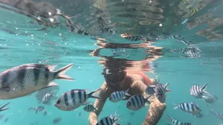 СНОРКЛИНГ