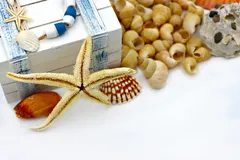 🐚 Ракушки и морские украшения
