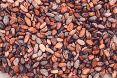 🍫 Какао-продукты