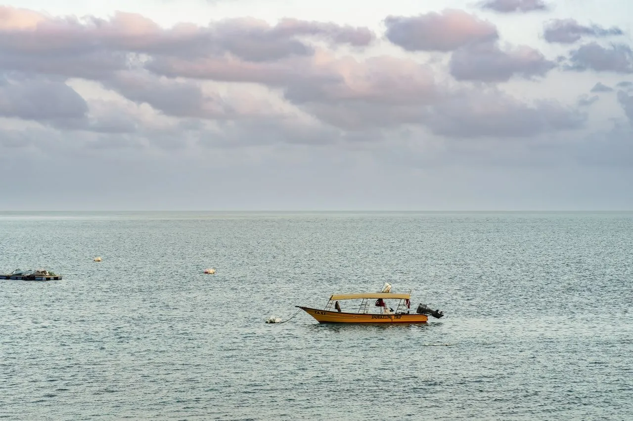 ИНДИЙСКИЙ ОКЕАН