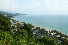🏖️ Сравнение с Катой