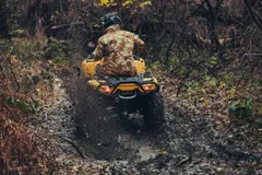 🌲 Природа и бездорожье