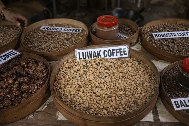 Индивидуальная экскурсия по Убуду Открывая сердце Бали