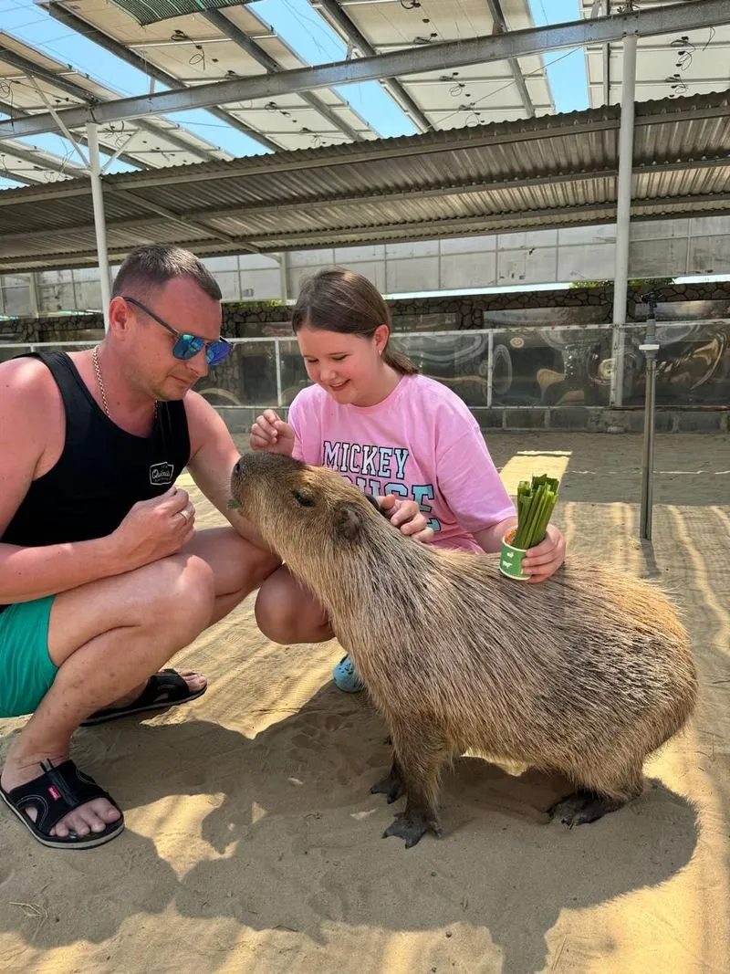 Экскурсия в Фанранг из Нячанга