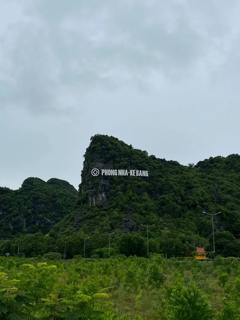 Экскурсия в пещеры Фонгня-Кебанг из Дананга: подземный мир и река Сон
