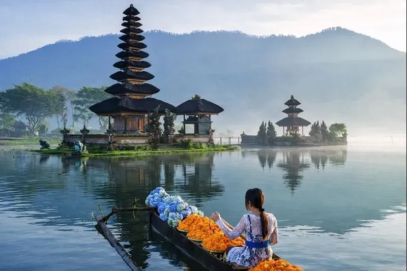 Индивидуальная экскурсия "Скрытые сокровища Бали: путешествие на север острова"