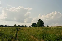 ☀️ Летний сезон