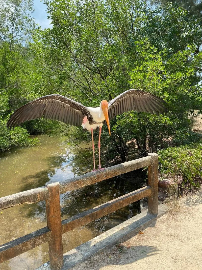 Экскурсия на Северные острова Нячанга