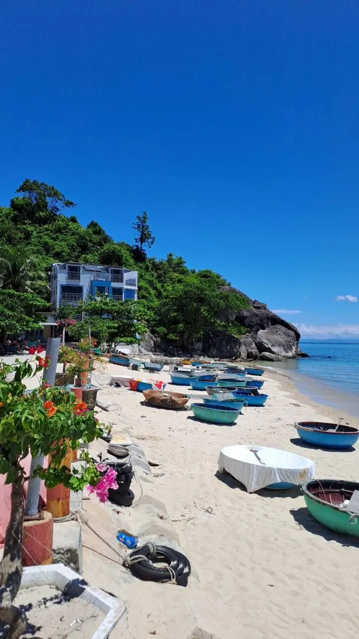 Экскурсия на остров Чам из Дананга: море, снорклинг и национальный парк ЮНЕСКО