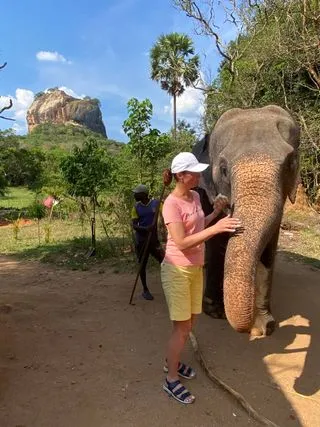 слон сигирия