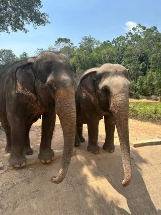 ПАРК VINPEARI SAFARI