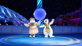 ШОУ В SEAWORLD ABU DHABI