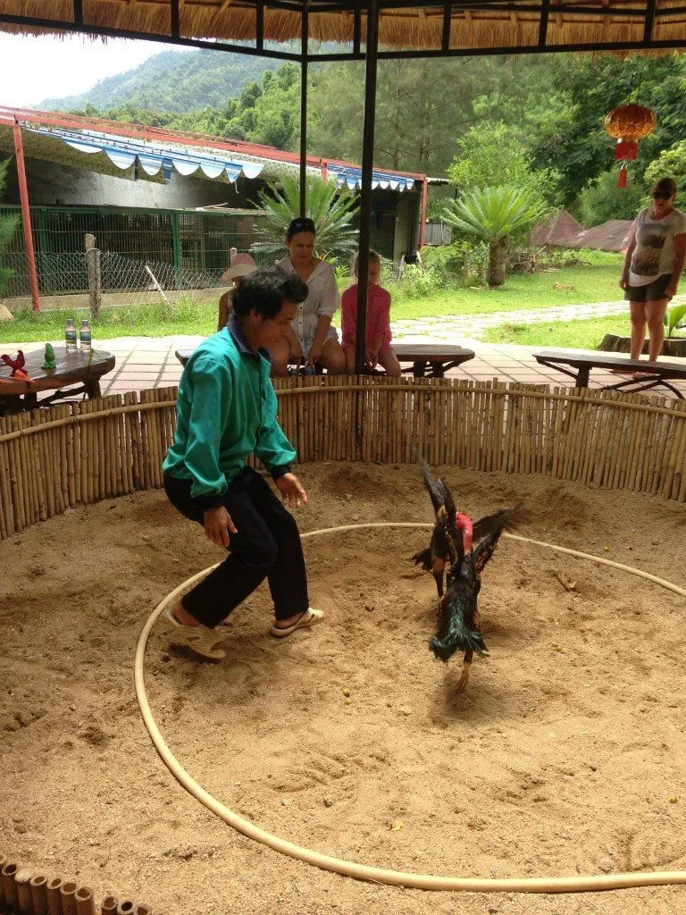 Экскурсия на термальные источники и водопад Янг Бэй в Нячанге