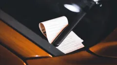 📄 Визовые нарушения