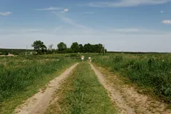 ☀️ Летний сезон