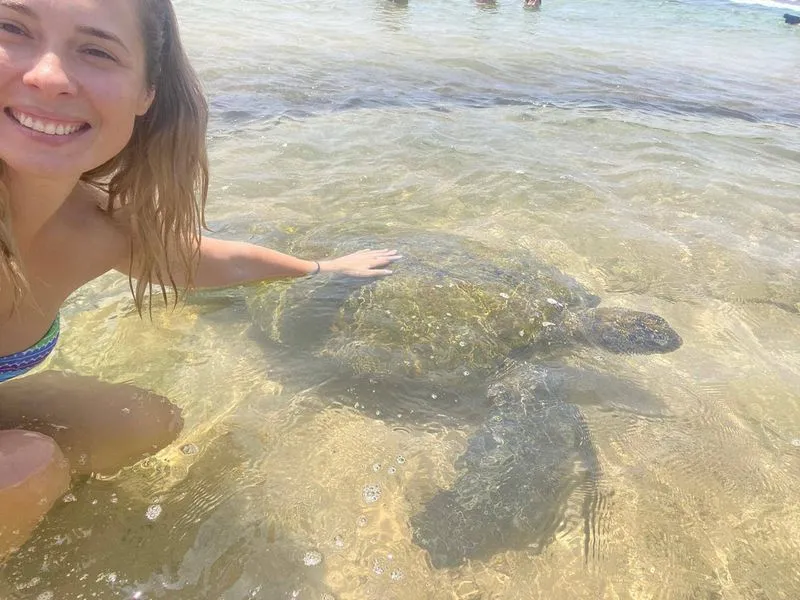 Изображение 3