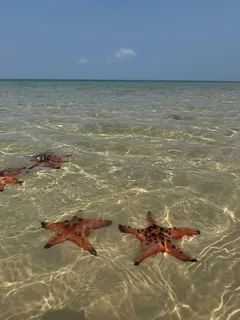 Экскурсия "Приключение на реке и море" на Фукуоке